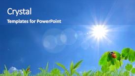  Presentation with spring - Colorful PPT theme enhanced with spring background backdrop and a teal colored foreground