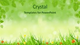  Presentation with dew - Slides having spring background background and a yellow colored foreground