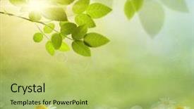  Presentation with green architecture natural marble - Beautiful slide deck featuring spring backgrounds - natural green background with selective backdrop and a yellow colored foreground