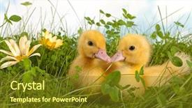  Presentation with two cute sisters playing - Colorful theme enhanced with spring bird flowers - clover garden with two cute backdrop and a tawny brown colored foreground