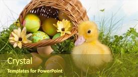 Presentation with bird eggs - Theme enhanced with spring bird flowers - sweet yellow easter duckling background and a tawny brown colored foreground