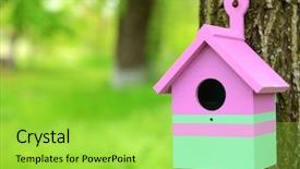  Presentation with garden - Cool new theme with spring birds - birdhouse in garden outdoors backdrop and a yellow colored foreground
