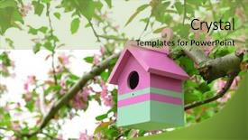  Presentation with outdoors - Presentation enhanced with spring birds - birdhouse in garden outdoors background and a yellow colored foreground