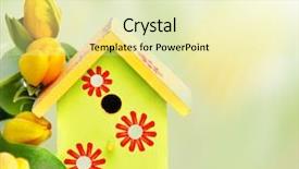  Presentation with bright yellow - Colorful theme enhanced with spring birds - bright wooden nestbox and yellow backdrop and a soft green colored foreground