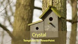  Presentation with double taxation - Theme featuring spring birds - double wooden birdhouse ready background and a tawny brown colored foreground