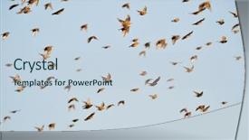  Presentation with flying angesl - Theme featuring little girl with her father and pregnant mother background and a dark gray colored foreground