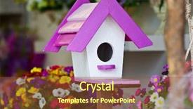 Presentation with bird - Beautiful presentation theme featuring spring birds - wooden bird house backdrop and a tawny brown colored foreground