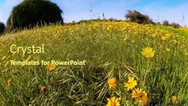 Presentation with sun desert - Presentation design having spring-bloom-of-the-negev background and a tawny brown colored foreground