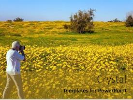 Spring Bloom Of The Negev PPT template 3 | CrystalGraphics