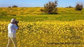  Presentation with sun desert - Slides enhanced with spring-bloom-of-the-negev background and a gold colored foreground