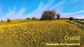  Presentation with sun desert - PPT theme with spring-bloom-of-the-negev background and a tawny brown colored foreground
