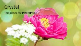  Presentation with spring - Beautiful presentation design featuring spring blooming in the garden backdrop and a  colored foreground