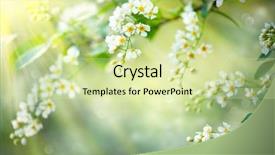  Presentation with nature art - Cool new presentation with spring blossom art design orchard backdrop and a soft green colored foreground