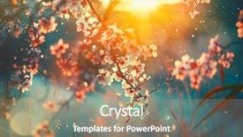  Presentation with blurred flowers - Slides with spring blossom background beautiful nature background and a coral colored foreground