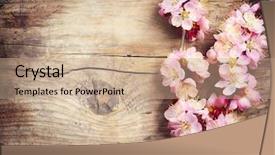  Presentation with spring - Cool new PPT layouts with spring blossom over wood background backdrop and a coral colored foreground