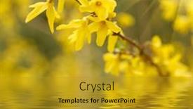  Presentation with spring water - 