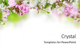  Presentation with copy space leadership - PPT layouts featuring spring blossom with copy space background and a white colored foreground