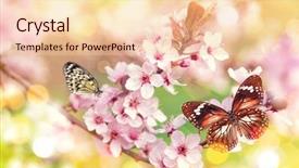  Presentation with groundwater spring - Amazing PPT layouts having spring blossoms with butterfly close backdrop and a lemonade colored foreground