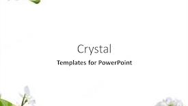  Presentation with border - Amazing presentation theme having spring border background with beautiful backdrop and a white colored foreground