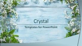  Presentation with cherry - PPT theme with spring border flowers - blooming cherry twig over old background and a sky blue colored foreground