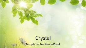  Presentation with flowers border - Theme consisting of spring border flowers - natural green background with selective background and a soft green colored foreground