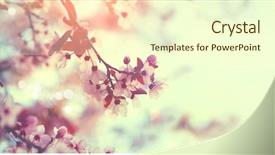  Presentation with blurred flowers - Cool new theme with spring border or background art backdrop and a cream colored foreground