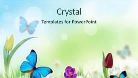  Presentation with beautiful floral border flower design - PPT theme featuring red strawberry falling into white milk creating splash note soft focus at 100 best at smaller sizes background and a white colored foreground