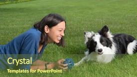  Presentation with border - Audience pleasing PPT theme consisting of spring borders - smiling young woman playing backdrop and a tawny brown colored foreground