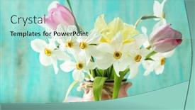  Presentation with spring - Presentation design consisting of spring bouquet in vase on color wooden background background and a arctic colored foreground