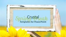  Presentation with spring break - Cool new slide set with spring break concept frame in hands on sunflower field background backdrop and a sky blue colored foreground