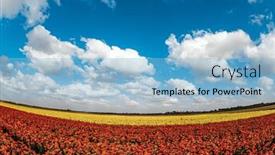  Presentation with israel - PPT theme having spring-came-carpet-of-magnificent background and a  colored foreground
