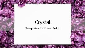  Presentation with white flowers - Colorful slide deck enhanced with spring card with lilac flowers backdrop and a white colored foreground