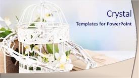  Presentation with jasmine spring flowers - Slides having spring composition with jasmine flower background and a sky blue colored foreground