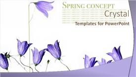  Presentation with purple spring - Theme featuring spring-concept-young-purple-flowers background and a cream colored foreground