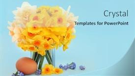  Presentation with daffodil - Presentation theme with spring-daffodil-flower-arrangement background and a light blue colored foreground