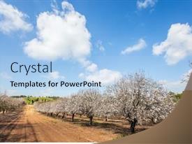 Spring Day In February Grove PPT template 57 | CrystalGraphics