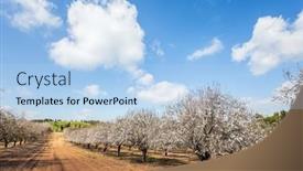  Presentation with light blue - Slide deck featuring spring-day-in-february-grove background and a light blue colored foreground