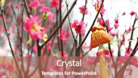  Presentation with chinese new year - Slide deck featuring spring festival - chinese new year decoration--yellow fortune background and a coral colored foreground