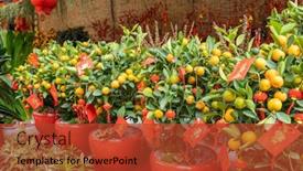  Presentation with chinese new year - Presentation design having spring-festival-chinese-new-year background and a red colored foreground