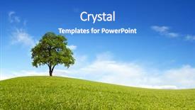  Presentation with spring tree - Slides with spring field wit lone tree background and a teal colored foreground