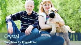  Presentation with simple soft fire - Beautiful presentation featuring spring fling - irish soft coated wheaten terrier backdrop and a ocean colored foreground