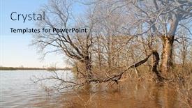  Presentation with flood - Cool new presentation theme with spring flood in oak wood backdrop and a light blue colored foreground