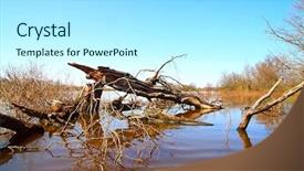  Presentation with flood - Audience pleasing theme consisting of spring flood backdrop and a  colored foreground