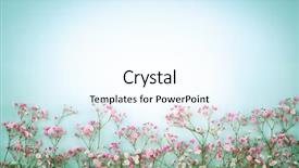  Presentation with pastel pink - Audience pleasing slide set consisting of spring floral composition made backdrop and a sky blue colored foreground