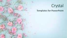  Presentation with pastel - Beautiful slides featuring spring floral composition made backdrop and a sky blue colored foreground