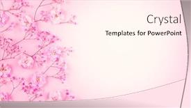  Presentation with pastel pink - Amazing slides having spring-floral-composition-made backdrop and a pink colored foreground