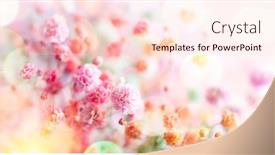  Presentation with colorful flower - Colorful presentation design enhanced with spring-floral-composition-made backdrop and a lemonade colored foreground