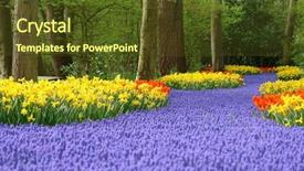  Presentation with easter bunny yellow spring flower - Amazing slide deck having spring flower bed backdrop and a tawny brown colored foreground