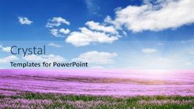  Presentation with blue flower - Presentation consisting of spring-flower-field-and-blue background and a light blue colored foreground