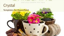  Presentation with garden tools - Beautiful slide deck featuring spring flower in pot with garden tools isolated on white background backdrop and a cream colored foreground